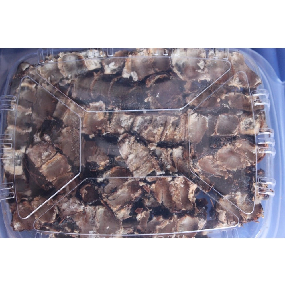 Organic Seedless Tamarind Perfect For Cooking — Brown