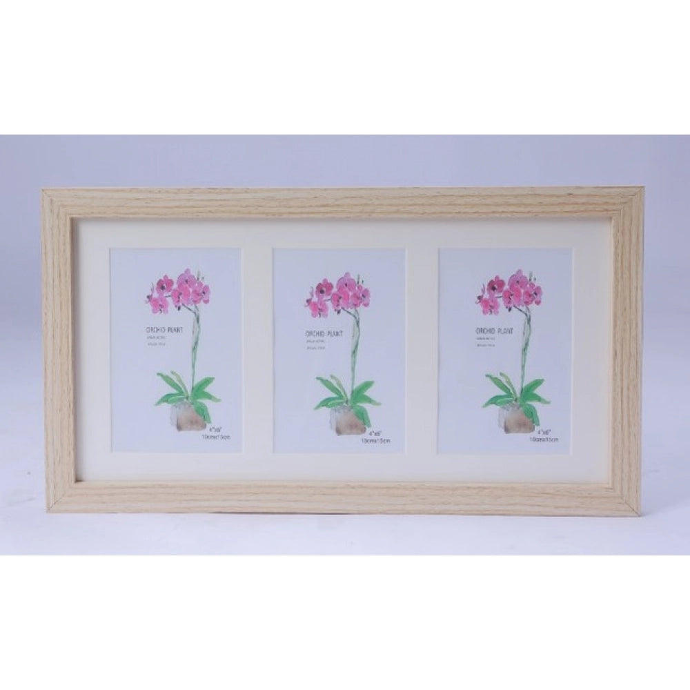 Acrylic Cactus Image Frame