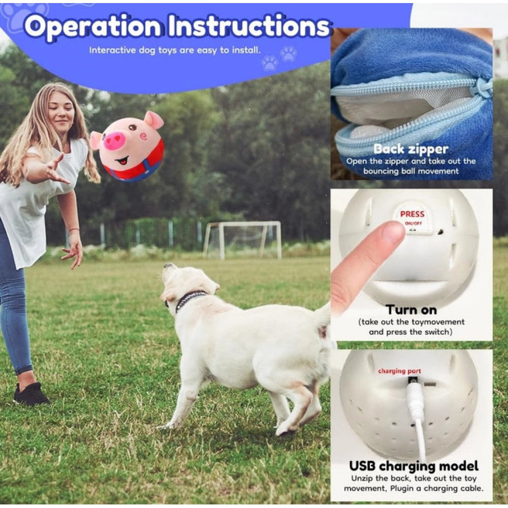 Dancing Piggy Ball