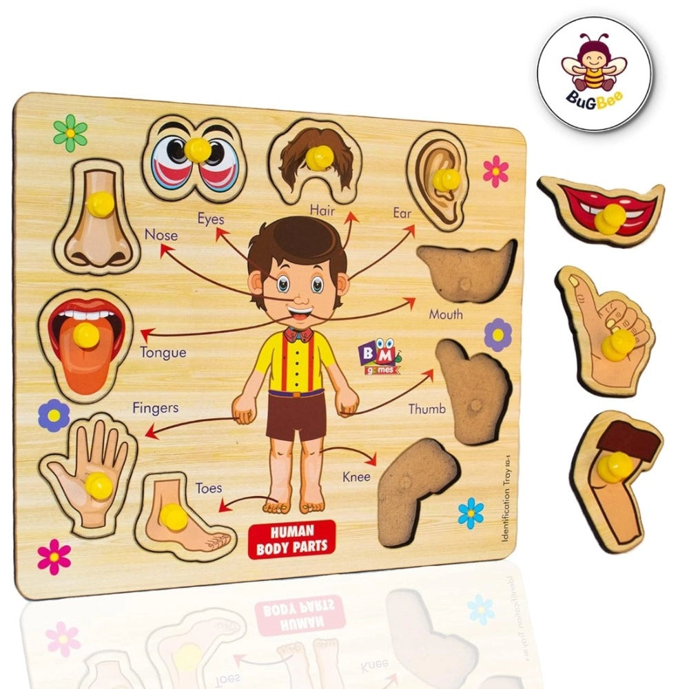 Wooden Puzzle - Body Parts