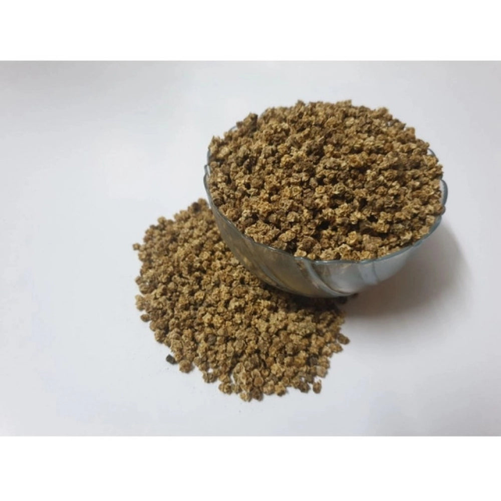 Beetroot Microgreen Seeds – Easy To Grow