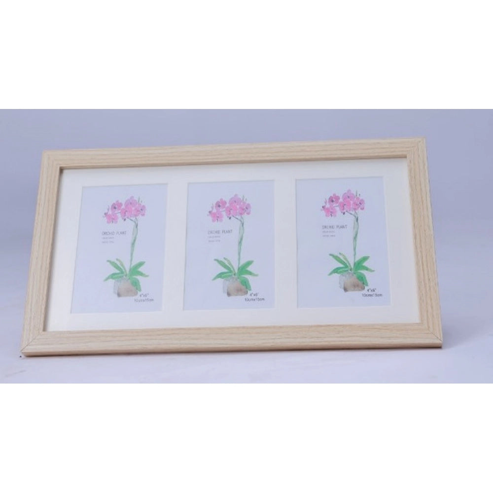 Acrylic Cactus Image Frame
