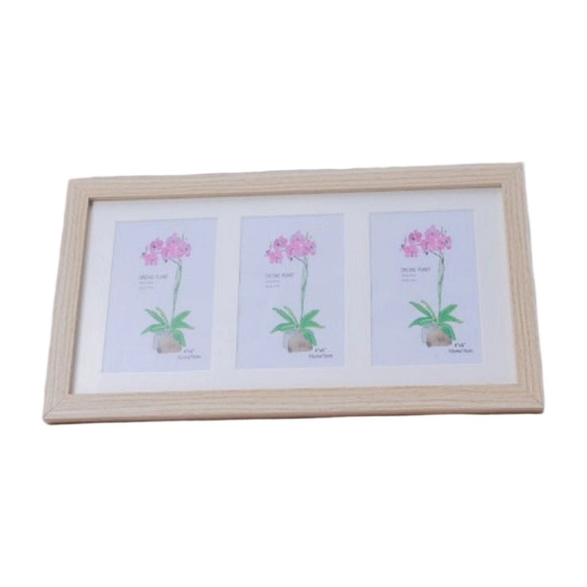 Acrylic Cactus Image Frame AllQwik