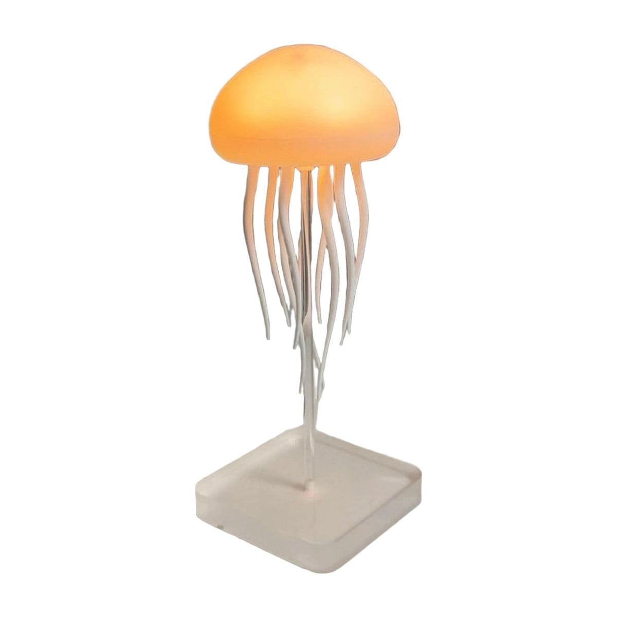 Jellyfish Lamp AllQwik