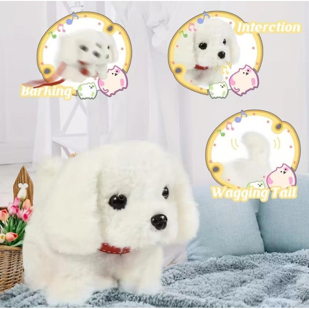 Walking And Talking Dog