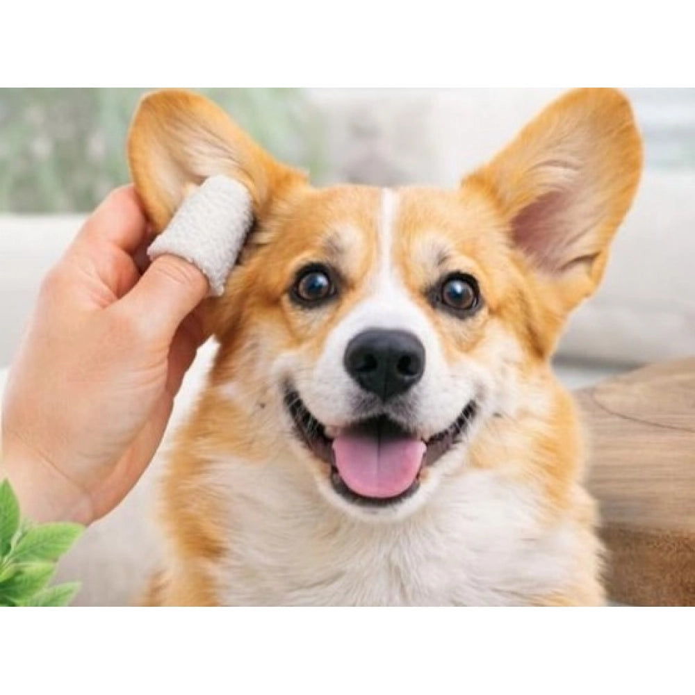Pet Ear Cleaning Wipes · Pack of 2 — White