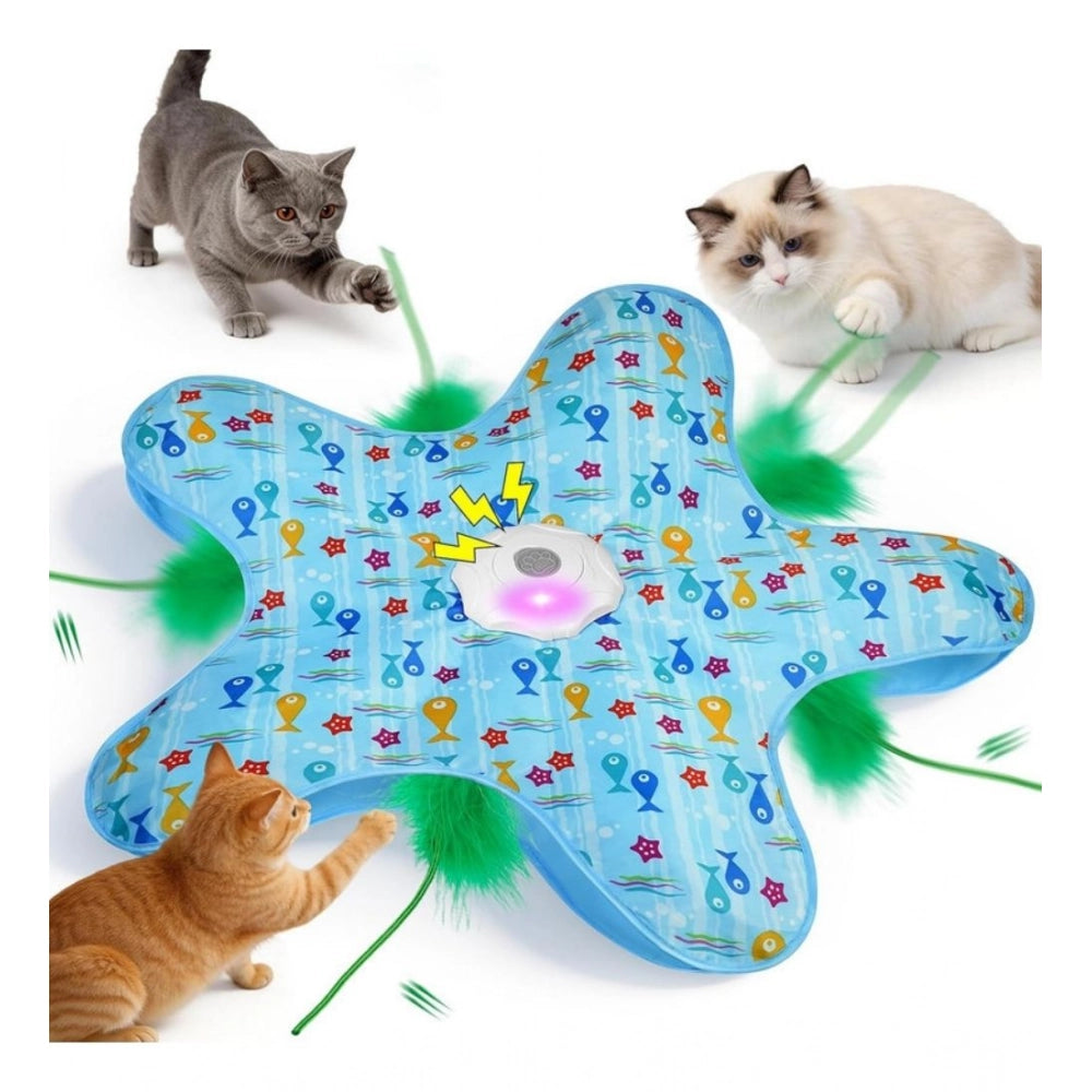 Hide And Seek Cat Toy — Blue