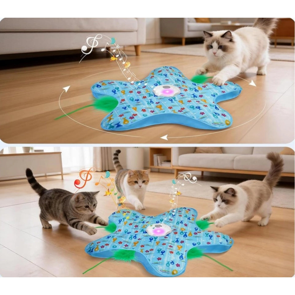 Hide And Seek Cat Toy — Blue