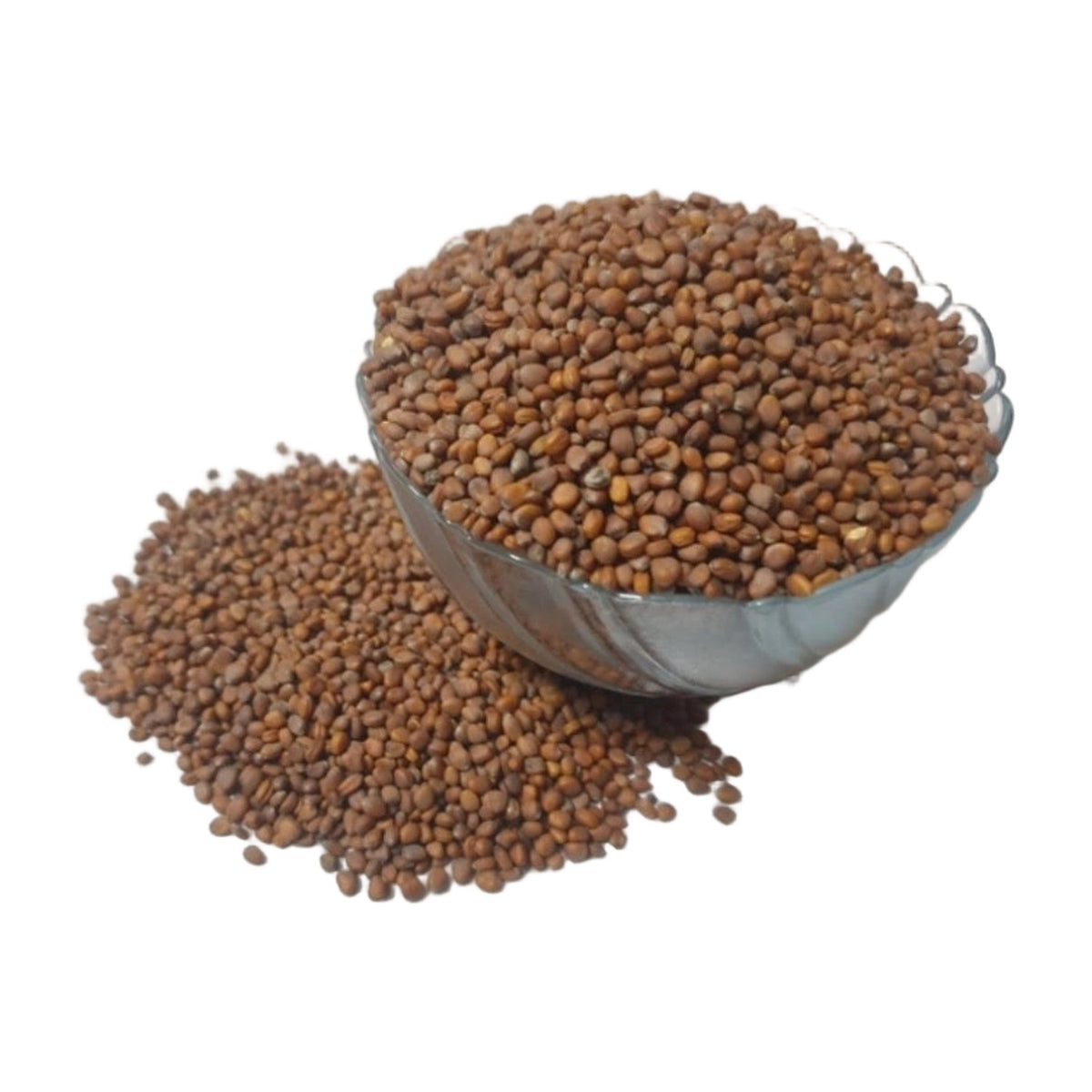 Radish White Microgreen Seeds – Quick Growing AllQwik