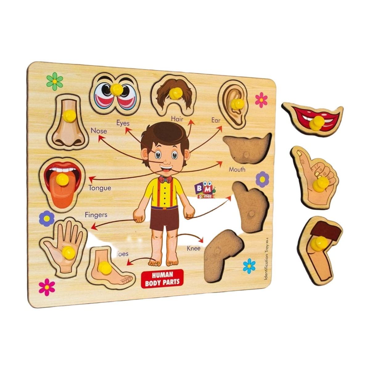 Wooden Puzzle - Body Parts AllQwik