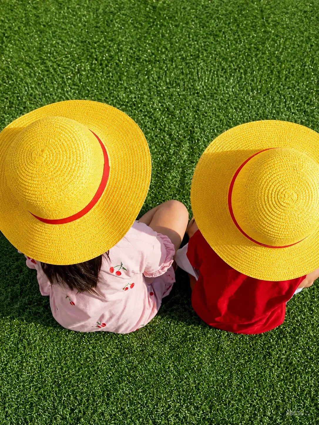 Luffy Hat – One Piece